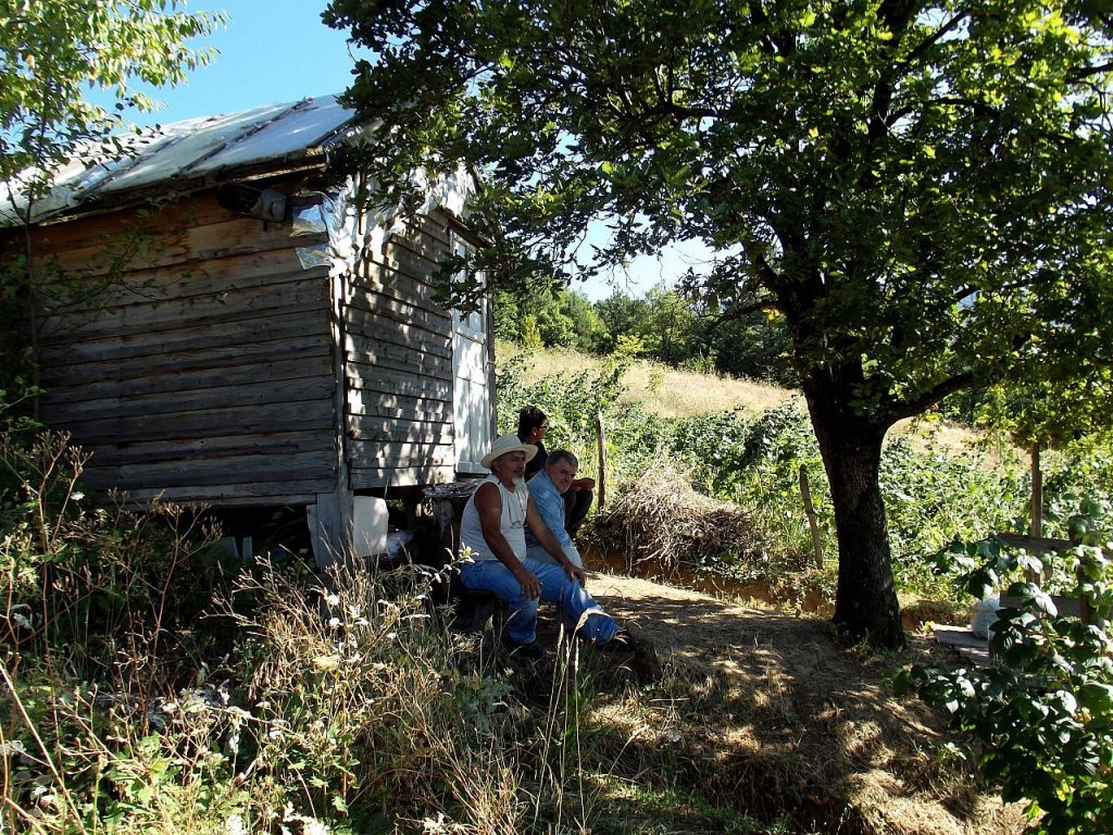 Tarlada sebze ve meyve topladÃƒÂƒÃ‚Â„ÃƒÂ‚Ã‚Â±k.jpg