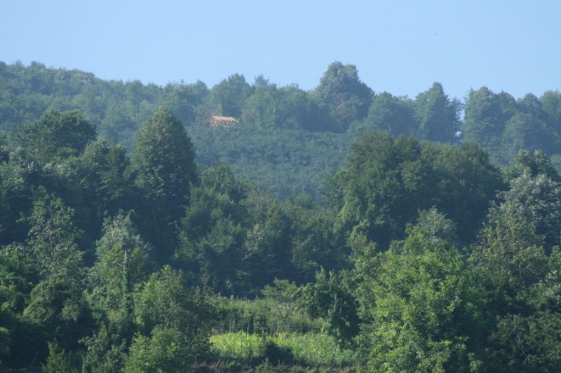 tatil 2010 (113).jpg