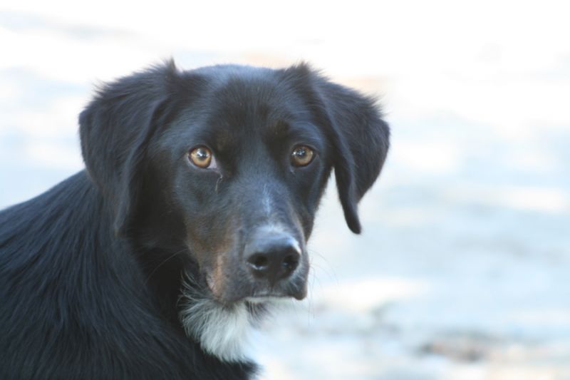 tatil 2010 (116).jpg