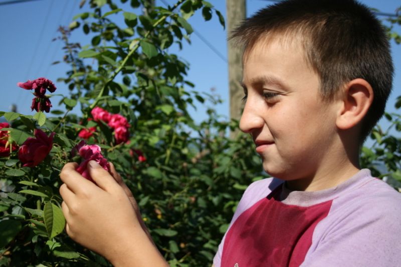 tatil 2010 (127).jpg