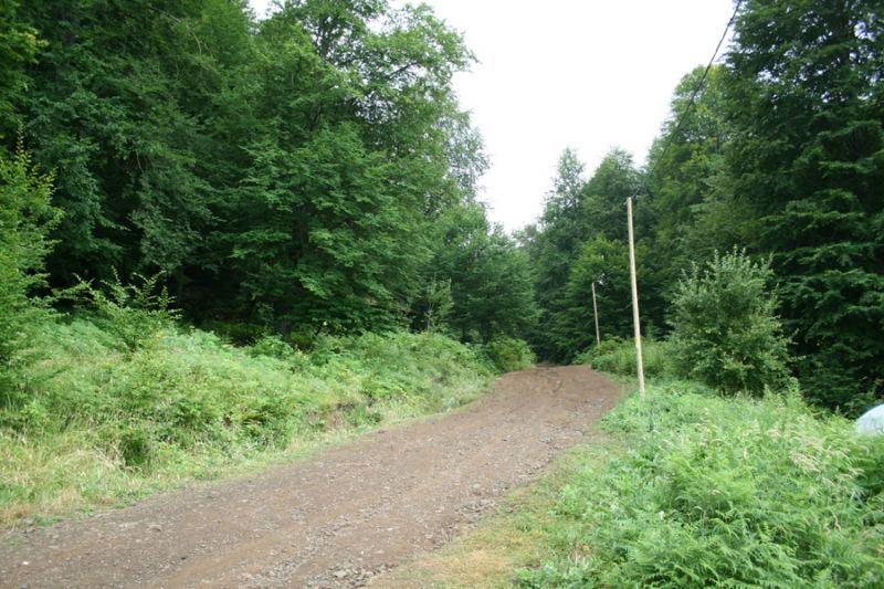 tatil 2010 (171).jpg