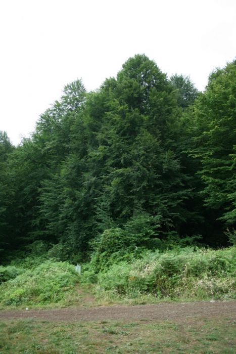 tatil 2010 (172).jpg