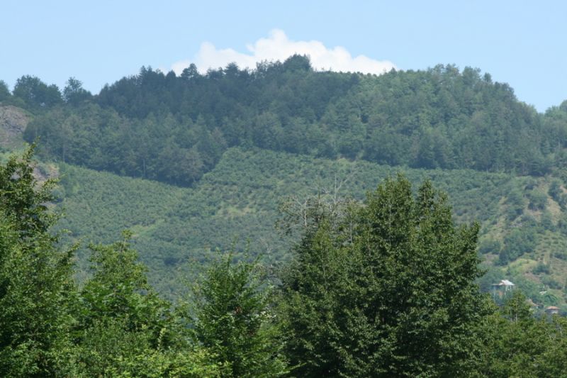 tatil 2010 (174).jpg