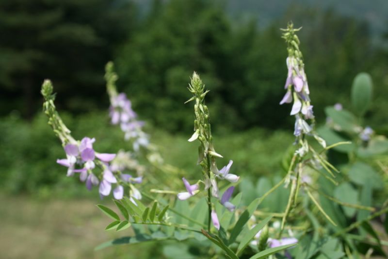 tatil 2010 (222).jpg