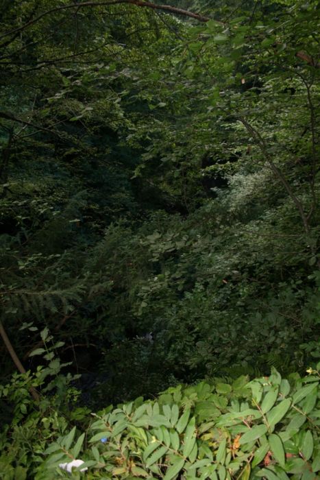 tatil 2010 (244).jpg