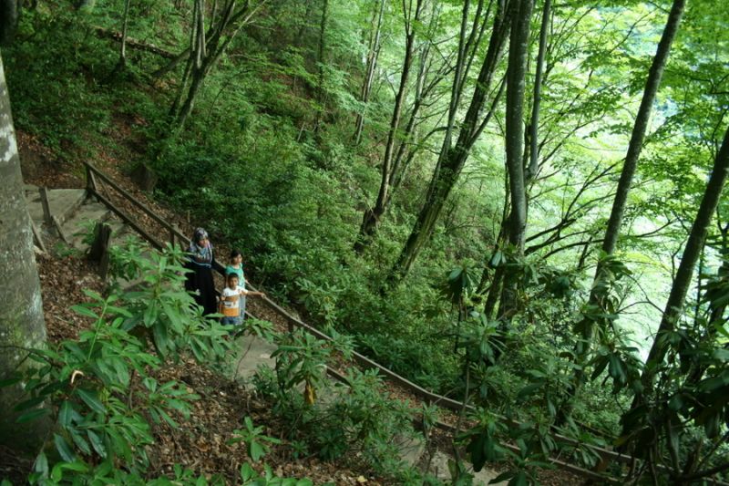 tatil 2010 (263).jpg