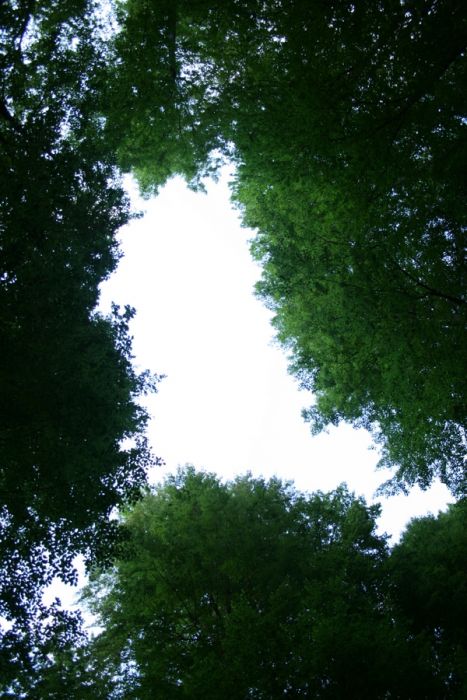 tatil 2010 (267).jpg