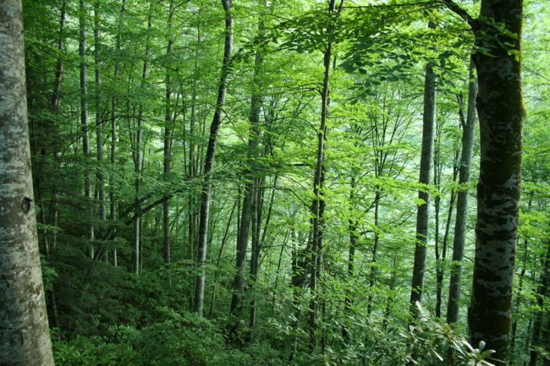 tatil 2010 (270).jpg