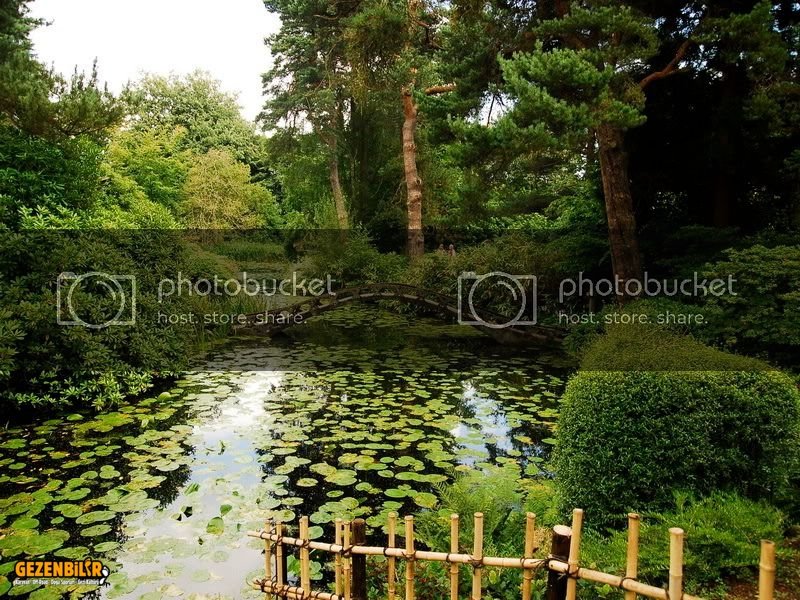 tattonpark068.jpg