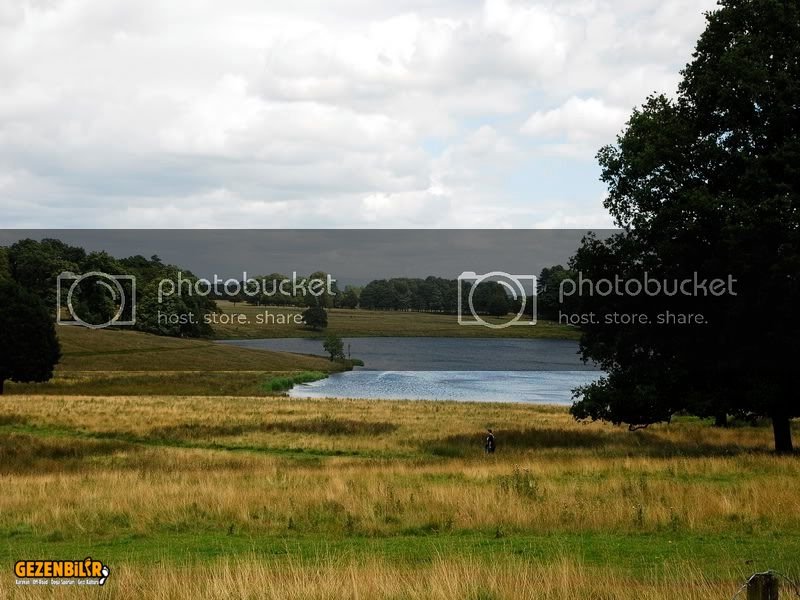 tattonpark072.jpg