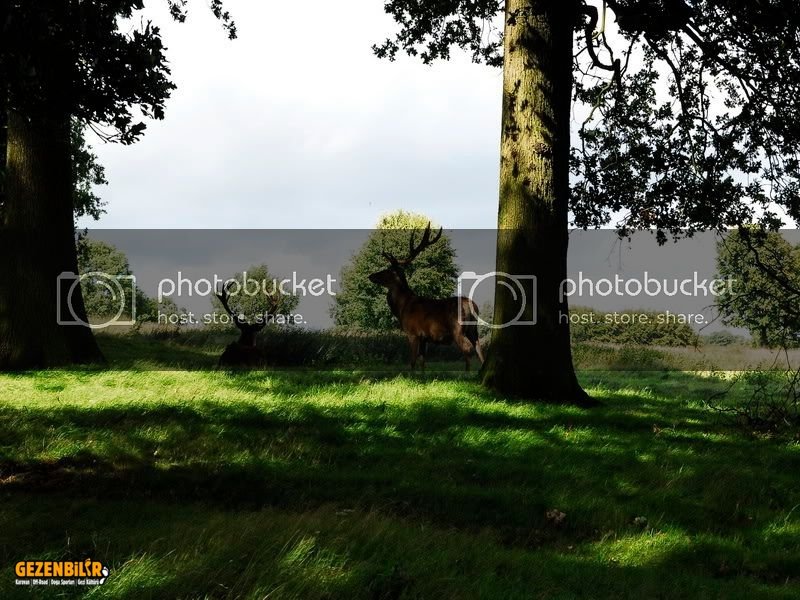 tattonpark113.jpg
