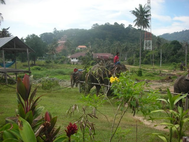 tayland 2008 136.jpg