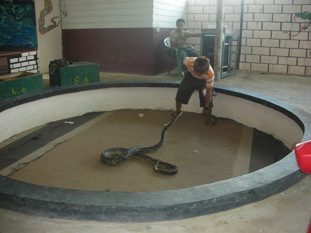 tayland 2008 177.jpg