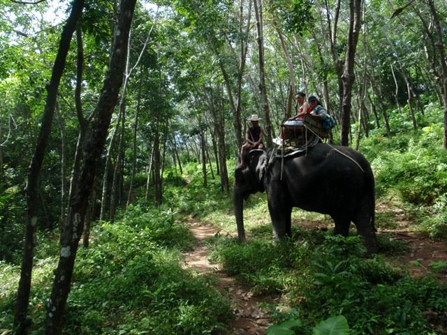 tayland 2008 502.jpg