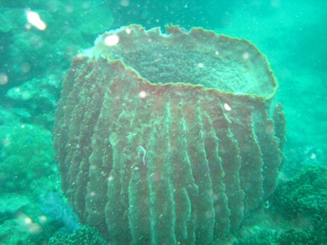 tayland 2008 870.jpg