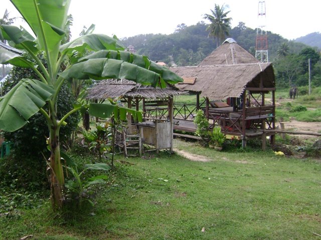tayland 2008 sony 137.jpg