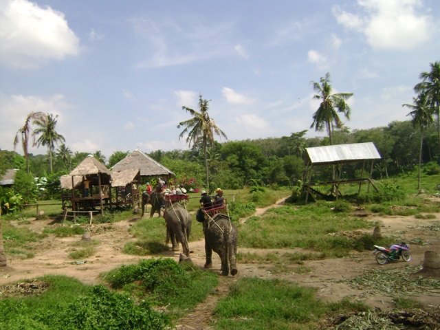 tayland 2008 sony 656.jpg