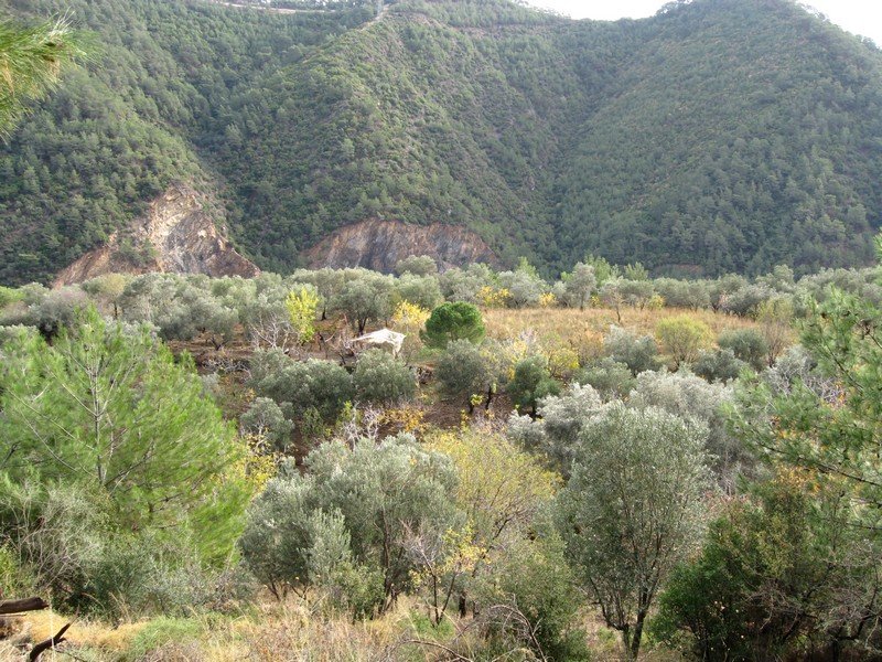 Termal - Behzat 23.11.08 151.jpg