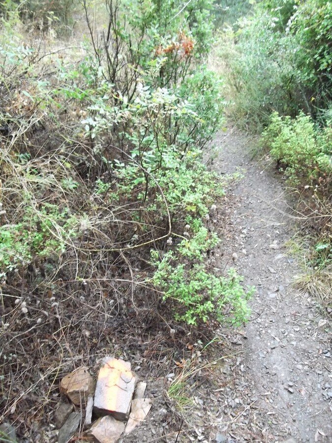 Termal Otel - Behzat 00005.jpg