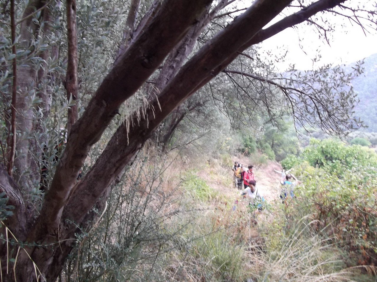 Termal Otel - Behzat 00009.jpg