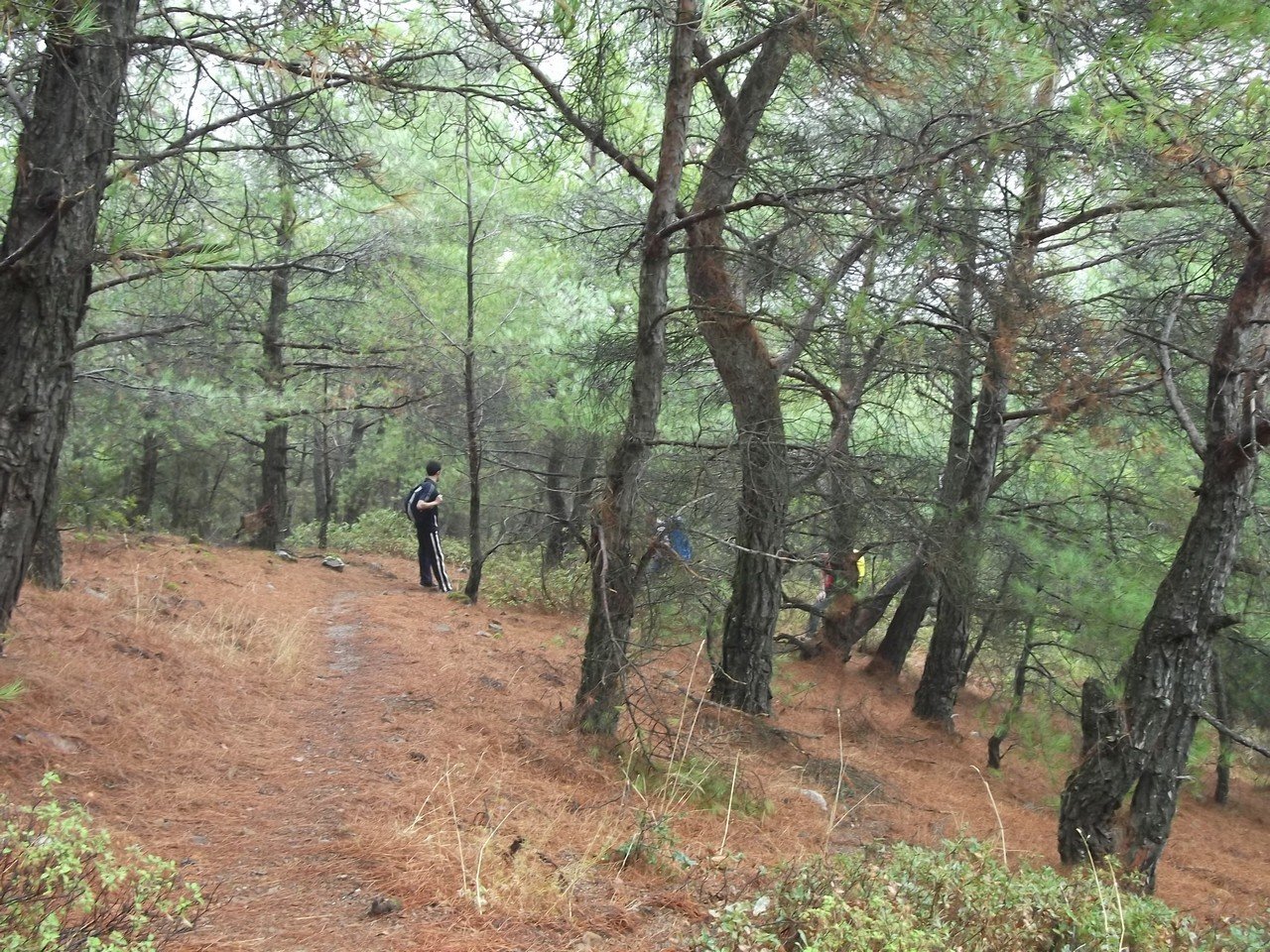 Termal Otel - Behzat 00010.jpg