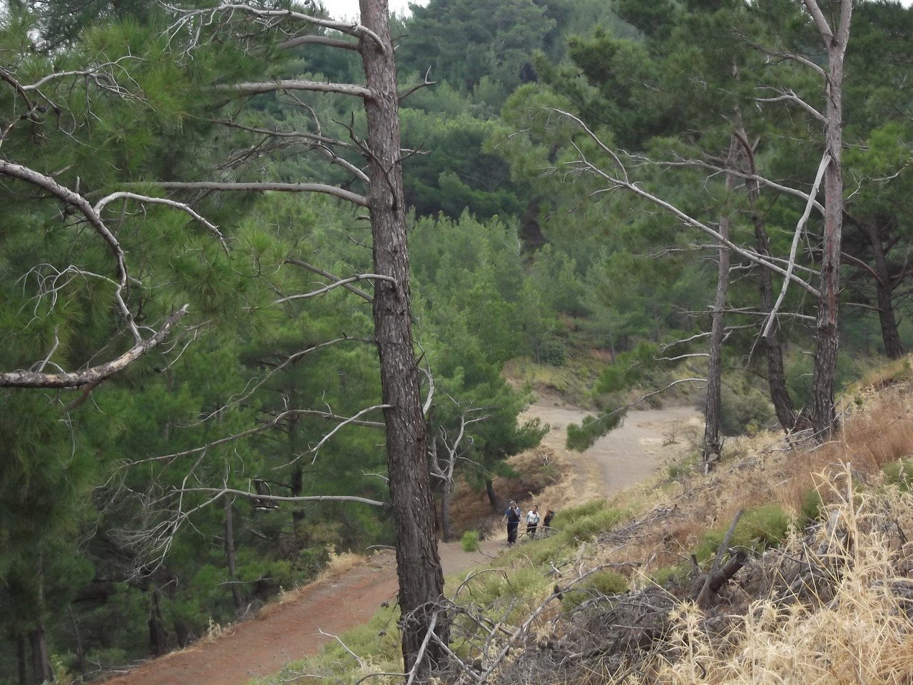 Termal Otel - Behzat 00040.jpg