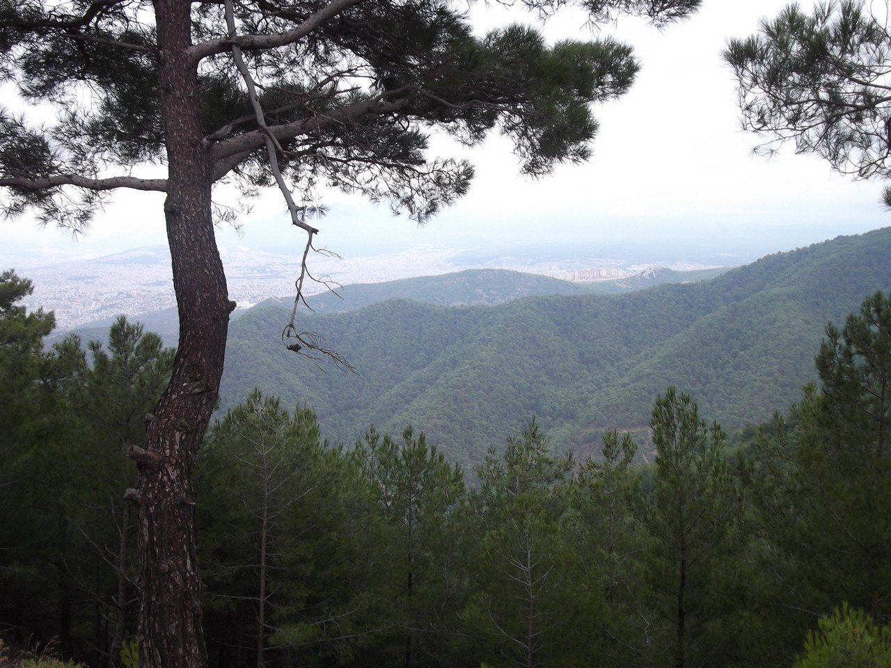 Termal Otel - Behzat 00041.jpg