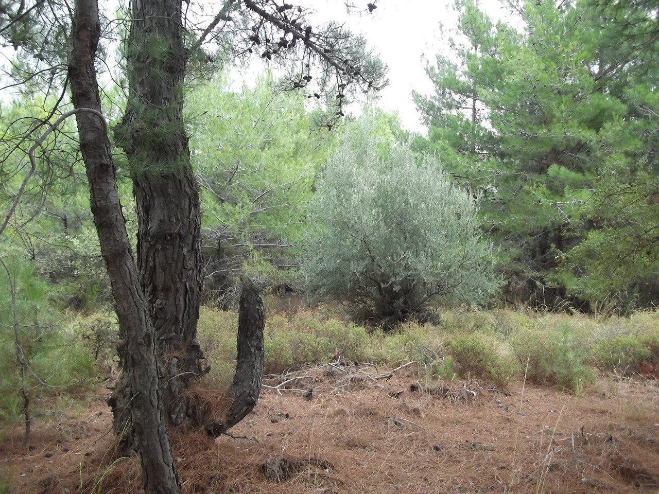 Termal Otel - Behzat 00047.jpg