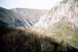 th_11380005.jpg