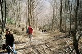 th_11380010.jpg