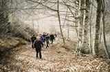 th_11380017.jpg
