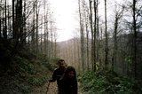th_11380021.jpg