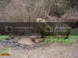 th_DSC00588.jpg