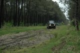 th_DSC_0085.jpg