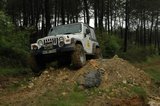 th_DSC_0130.jpg