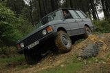 th_DSC_0146.jpg