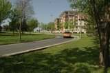 th_DSC_0177.jpg