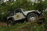 th_DSC_0180.jpg