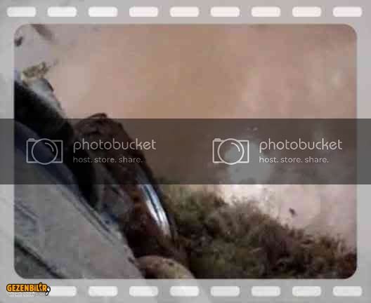 th_Film-1.jpg