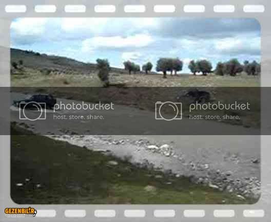 th_vid-3.jpg