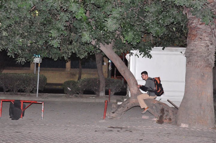 The Horse DÃƒÂƒÃ‚Â„ÃƒÂ‚Ã‚Â±gÃƒÂƒÃ‚Â„ÃƒÂ‚Ã‚Â±dÃƒÂƒÃ‚Â„ÃƒÂ‚Ã‚Â±k  (Levent Solak).jpg