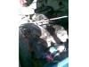 thmb_19656287bcx.jpg