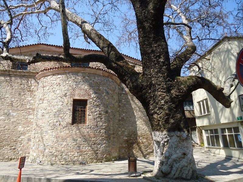Tirilyeden.jpg