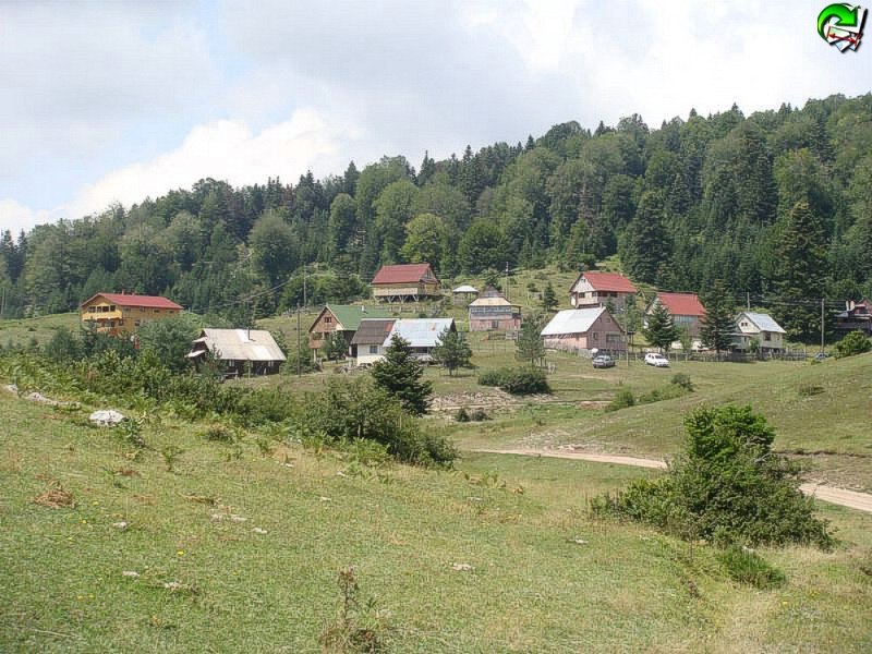 tn_tn_tndsc02028.jpg