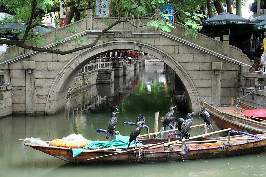 tongli (1).jpg