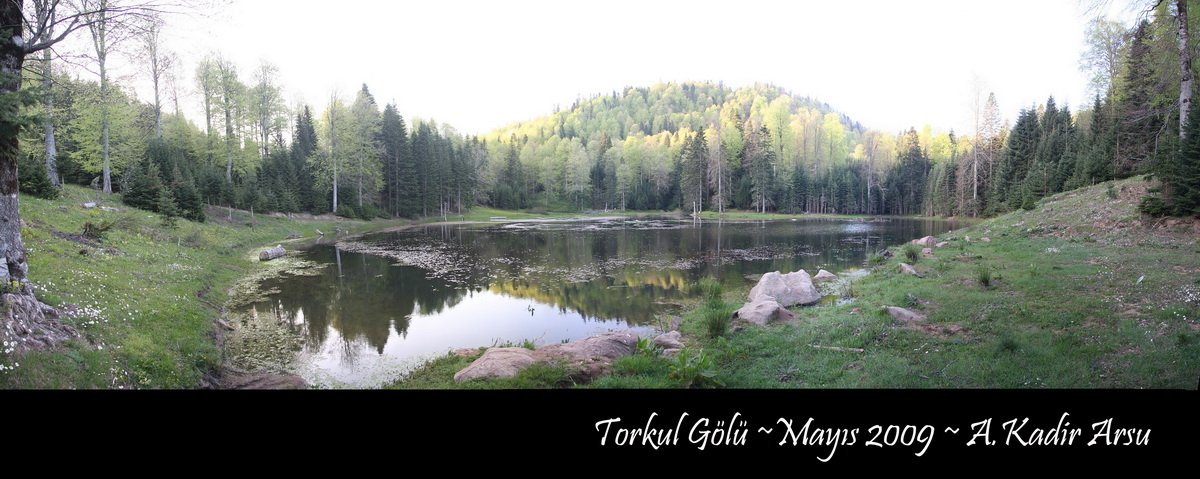 Torkul~MayÃƒÂƒÃ‚Â„ÃƒÂ‚Ã‚Â±s 2009~513~A.Kadir Arsu.1.jpg