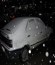 toyota 2910.jpg
