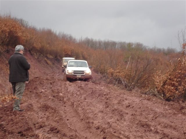 Toyota gezisi 2009 107.jpg