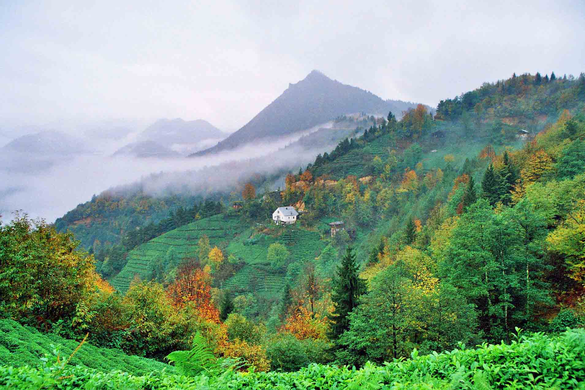 Trabzon -Of -  CumapazarÃƒÂƒÃ‚Â„ÃƒÂ‚Ã‚Â±.jpg
