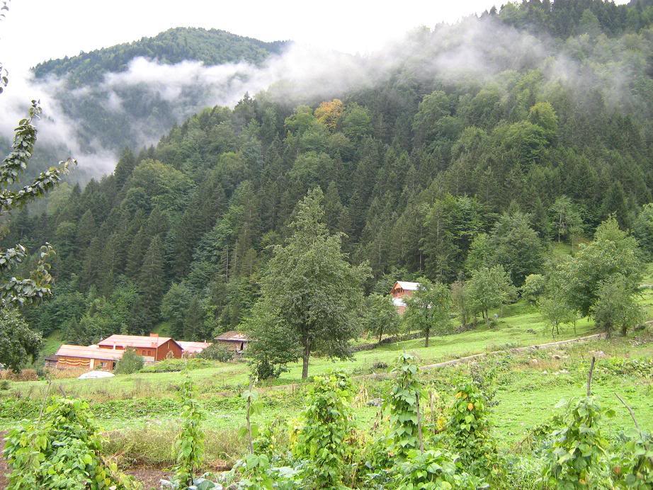 Trabzon-Rize241.jpg